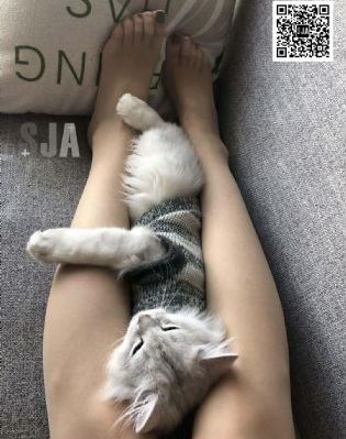 国产少妇人妻出轨电影_BD英语在线视频观看